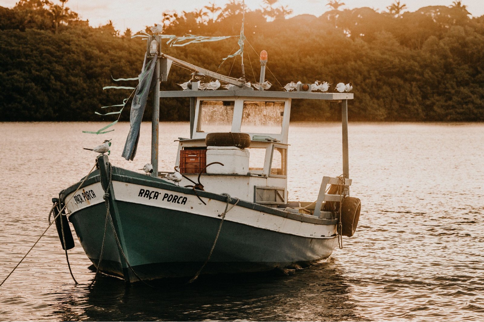 10 Aspectos Esenciales al Elegir Barcos de Pesca